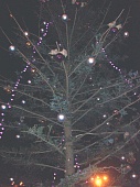 -2010