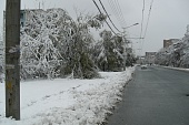     (2007 ) 