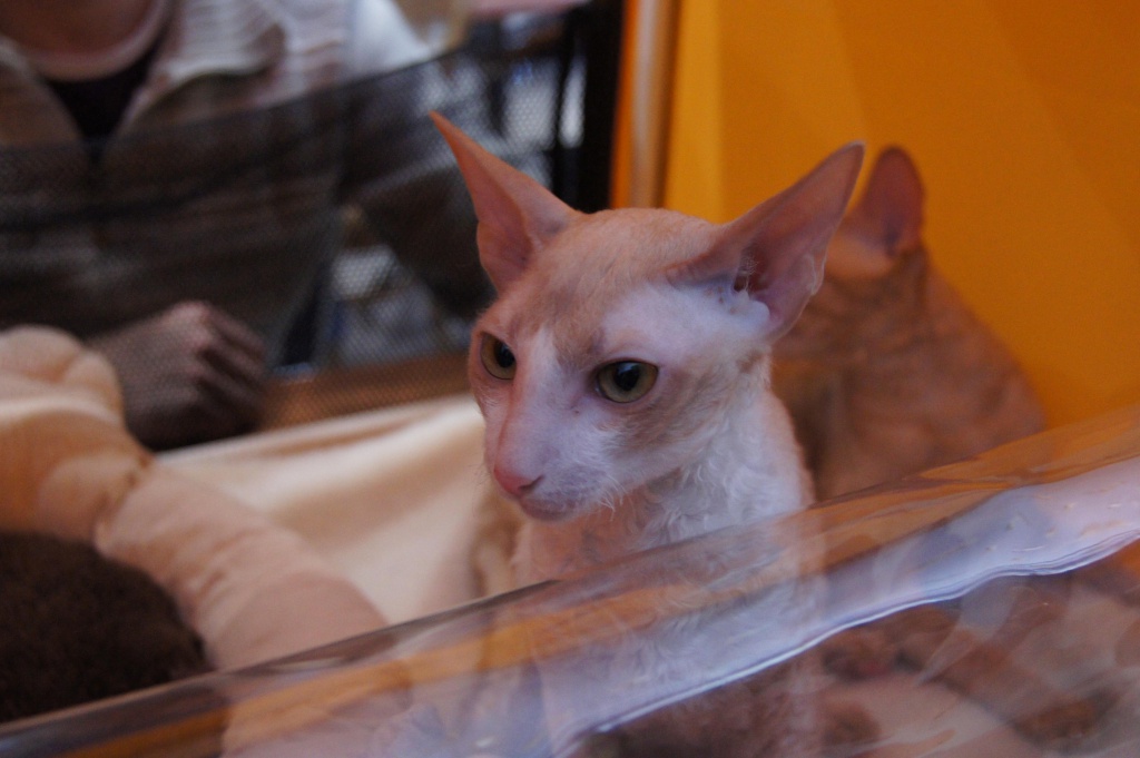 DSC00749.JPG