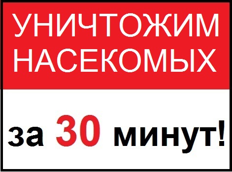 1 (1).jpg 1 (1).jpg