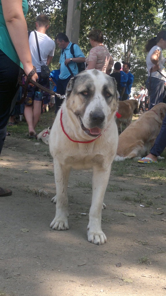 27082011195.jpg