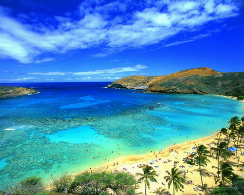 hawaii1.jpg