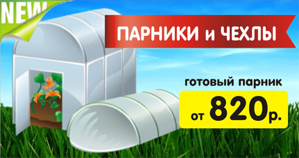 parniki1.jpg parniki1.jpg